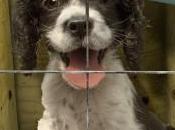 Being Owner 21st Century