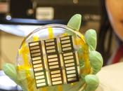 Scientists Improve Perovskite Solar Cell Production Process