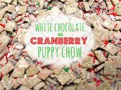 White Chocolate Cranberry Puppy Chow