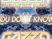 Sean Feat. Ellie Goulding "You Don't Know" (Gazzo Remix)