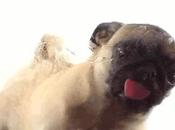 GIFs Wonderful Wednesday (Part