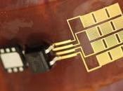 Piezoelectric Devices Harvest Energy From Heart, Lungs, Diaphragm