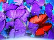 Phone, This Time Samsung Appeared with Design-picture-sound Premium, What Price?