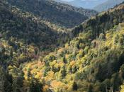 Discover Beauty Great Smoky Mountains National Park