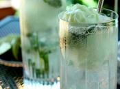 Lime Sherbet Mojito Float Cocktail