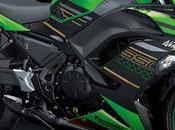 Kawasaki Ninja 650, Launched Time Puja, Taking Entry Young Generation Increasing Heart Rate