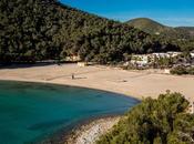 Best Beaches Ibiza