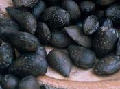 Decades After Discovery Famous Kyrenia Shipwreck, Researchers Have Estimate When Sank