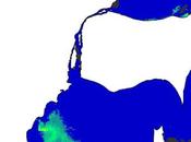 Blue-Green Algae Blooms Threaten Great Lakes