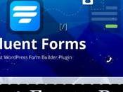 Fluent Forms Addon Free Download (v5.2.0 v4.3.11)