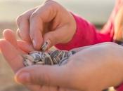Sunflower Seeds Healthy? Benefits Side Effects
