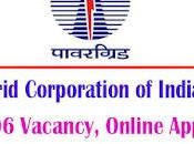 PGCIL Apprentice Recruitment 2024 Vacancy, Online Apply