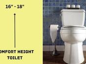 What’s Comfort Height Toilet? Comprehensive Guide