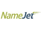 NameJet/SnapNames Months Sales Data Released