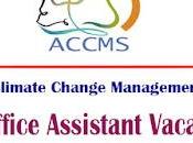 ACCMS Recruitment 2024 Office Assistant Vacancy