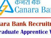 Canara Bank Recruitment 2024 3000 Graduate Apprentice Vacancy