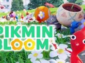 Pikmin Bloom Gift Ideas Those Love Game