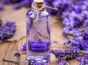 Lavender Benefits