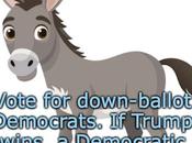 It's Important Vote Down-Ballot Democrats