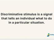 Understanding Discriminative Stimulus Definition, Examples Importance