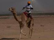 Camel Races