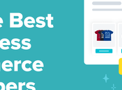 Hire Best WordPress eCommerce Developers (Expert Tips)