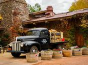 It’s Friendly Paradise Portal Hotel Sedona,