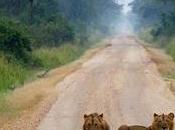 Expat Life: Prison (Part Two)