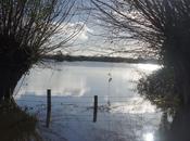 Somerset Levels Floods