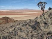 Your African Fold Sojourn Namib Desert