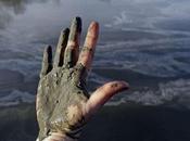 River Contaminated with High Levels Lead, Arsenic, Mercury After North Carolina Coal Spill