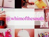 {Whim South Mini Moments}