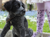 Reasons Good Your Health