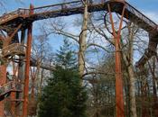 Gardens Treetop Walkway, London