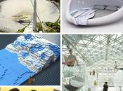 Lime Link Love 15.02.14