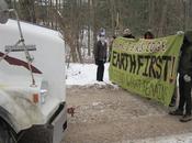 Glacier’s Edge Earth First! Fights Back Against State Forest Logging