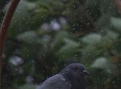 Rains Chennai Cyclone Fengal Previous Avatars