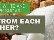 White Brown Sugar Differ From Each Other?