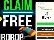 Hivera DePin Mining Airdrop Telegram Detailed