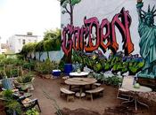 Claude Sonnet Describes Garden State Mind