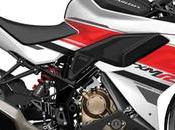 Surprise Year, Hero Brings Powerful Sports Bike Young Generation