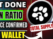 PAWS Airdrop Snapshot Done Complete Final Mandatory Verify Task