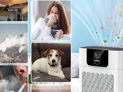 HEPA Purifier Home: Smoke, Pollen, Hair, Odor