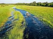 Most Underrated Countries Visit 2025 [Hidden Gems Map]