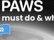 Paw's Airdrop Eligibility Check Update What Must