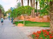 Beautiful Israel: Eilat City Dreams Shores (video)