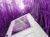 Site Preparations Stargate's Supersecret Aladdin's Alcazar