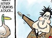 Walks Like Quacks Duck