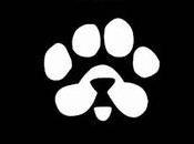 Mastering PAWS Airdrop: Your Ultimate Guide Completing Last Quest