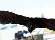 காக்கை சிறகினிலே Crow Lands